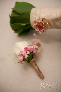 大城小愛(ài)婚慶禮儀服務(wù) 為您的特別日子定制專(zhuān)屬浪漫